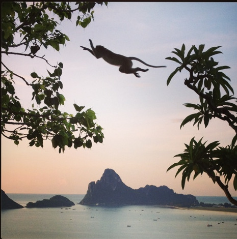 Screen Shot 2015-06-30 at 1.05.17 PM