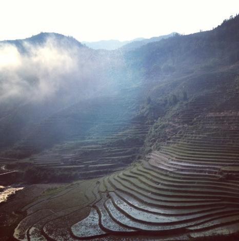 Screen Shot 2015-06-30 at 1.06.33 PM