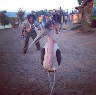 Screen Shot 2015-06-30 at 1.13.01 PM