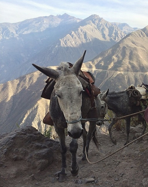 Screen Shot 2015-06-30 at 12.43.30 PM