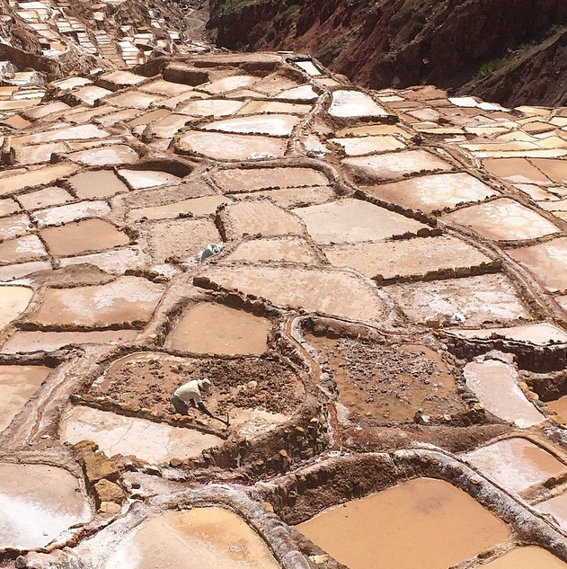 Screen Shot 2015-06-30 at 12.44.31 PM