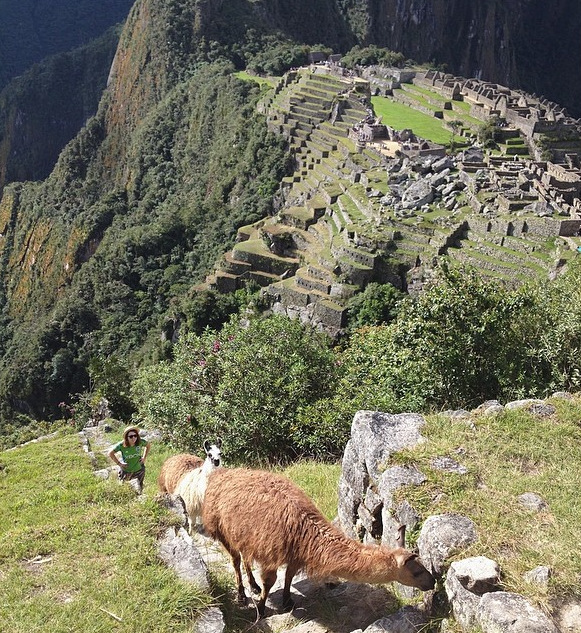 Screen Shot 2015-06-30 at 12.45.47 PM