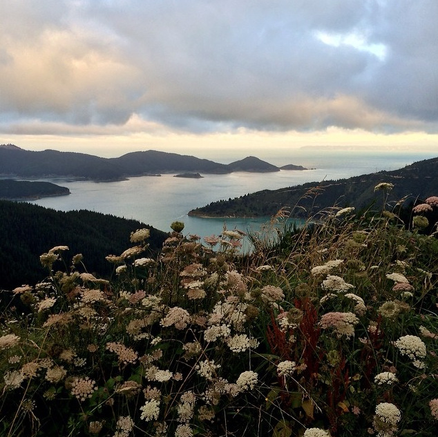 Screen Shot 2015-06-30 at 12.52.22 PM