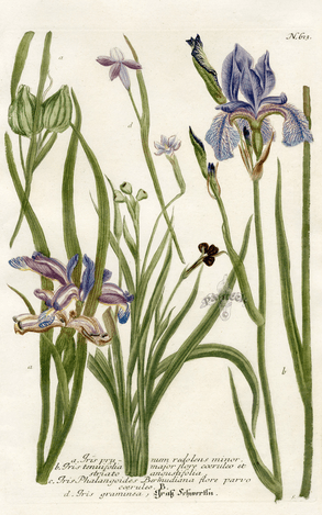 Screen Shot 2016-05-03 at 4.09.20 PM