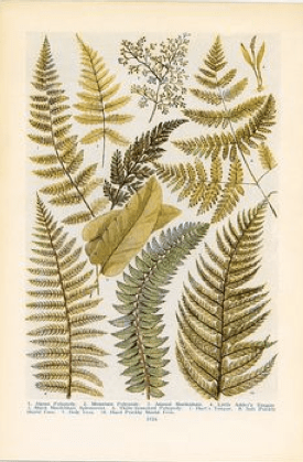 Screen Shot 2016-05-03 at 4.15.56 PM