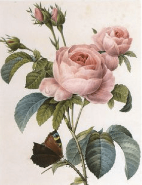 Screen Shot 2016-05-03 at 4.18.20 PM