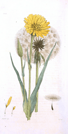 Screen Shot 2016-05-03 at 4.33.57 PM